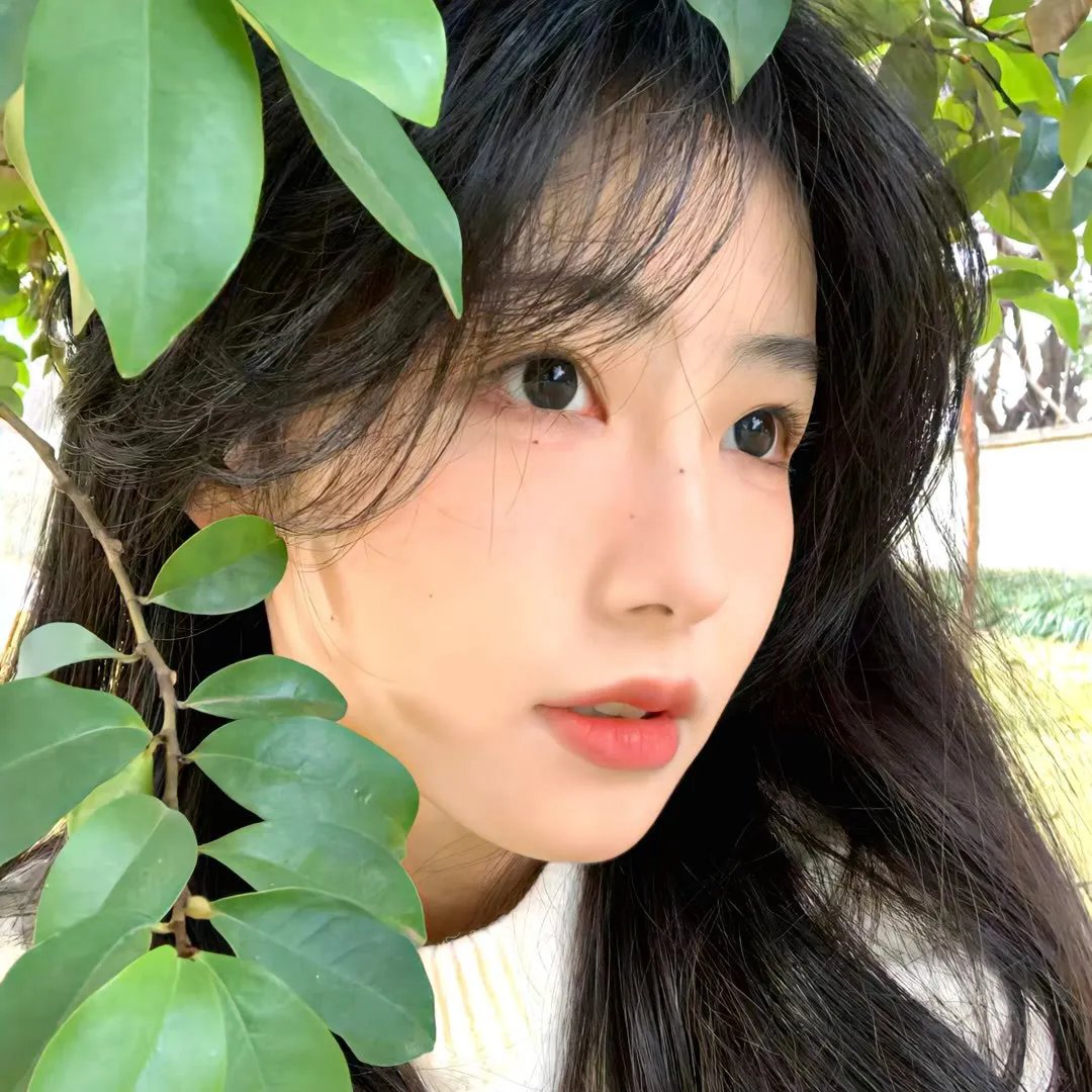 没有同情