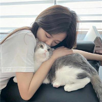 狗假死之物
